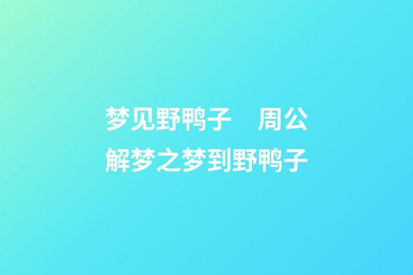 梦见野鸭子　周公解梦之梦到野鸭子